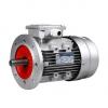 REXROTH R901106500 PVV5-1X/193RA15LMC Vane pump