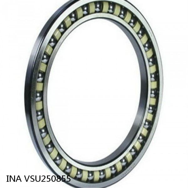 VSU250855 INA Slewing Ring Bearings