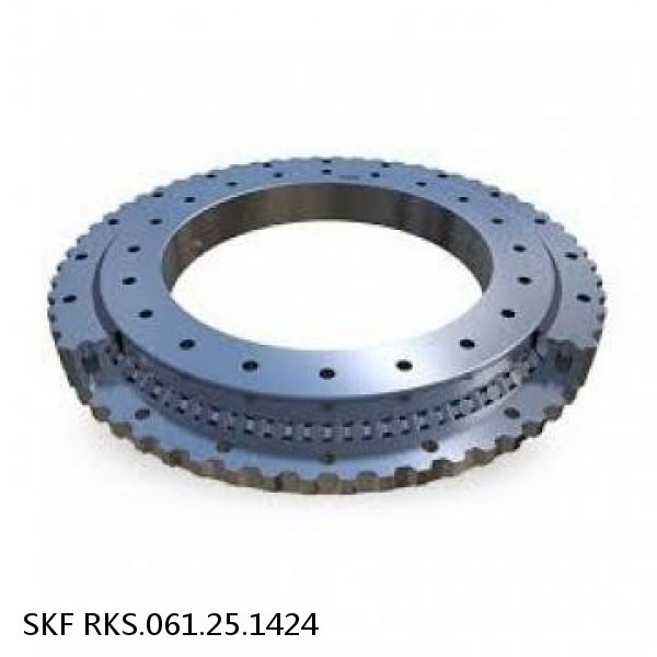 RKS.061.25.1424 SKF Slewing Ring Bearings #1 small image