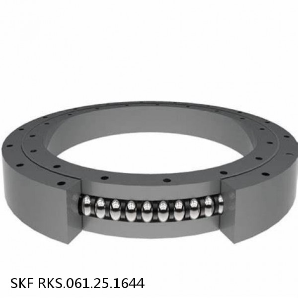 RKS.061.25.1644 SKF Slewing Ring Bearings #1 small image