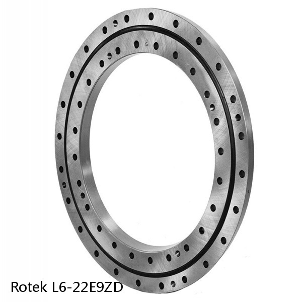 L6-22E9ZD Rotek Slewing Ring Bearings #1 small image