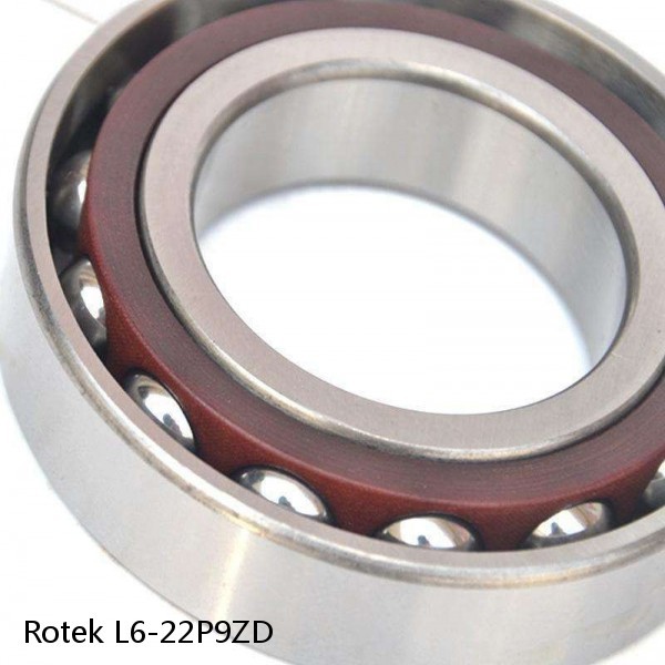 L6-22P9ZD Rotek Slewing Ring Bearings #1 small image
