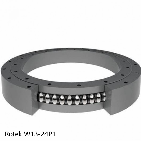 W13-24P1 Rotek Slewing Ring Bearings #1 small image
