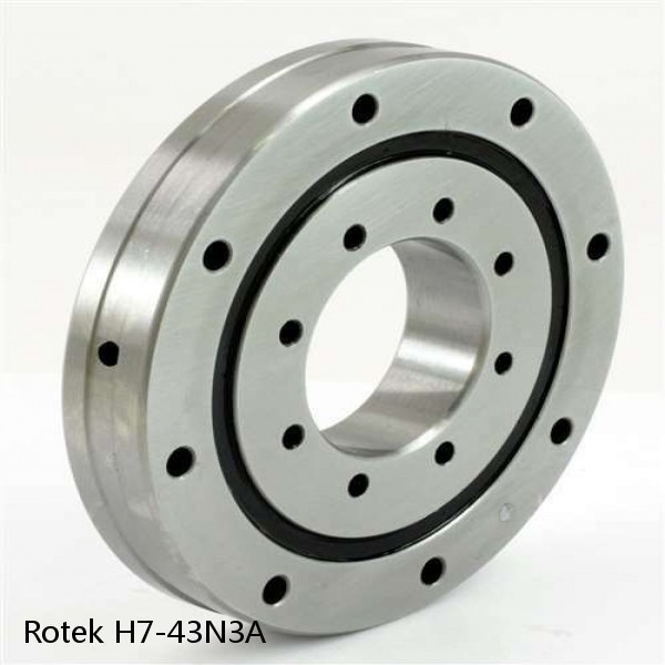 H7-43N3A Rotek Slewing Ring Bearings #1 small image