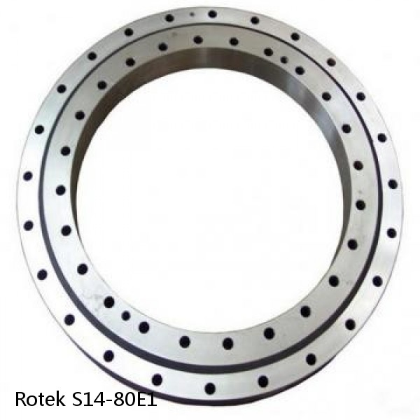 S14-80E1 Rotek Slewing Ring Bearings #1 small image