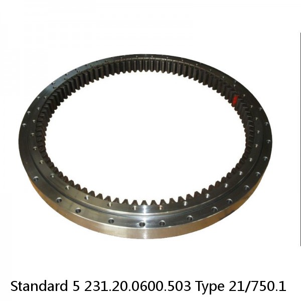 231.20.0600.503 Type 21/750.1 Standard 5 Slewing Ring Bearings #1 small image