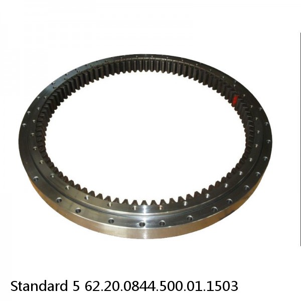 62.20.0844.500.01.1503 Standard 5 Slewing Ring Bearings #1 small image