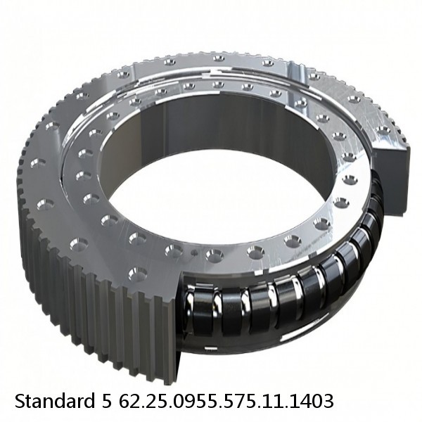 62.25.0955.575.11.1403 Standard 5 Slewing Ring Bearings #1 small image