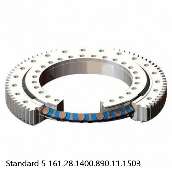 161.28.1400.890.11.1503 Standard 5 Slewing Ring Bearings #1 small image
