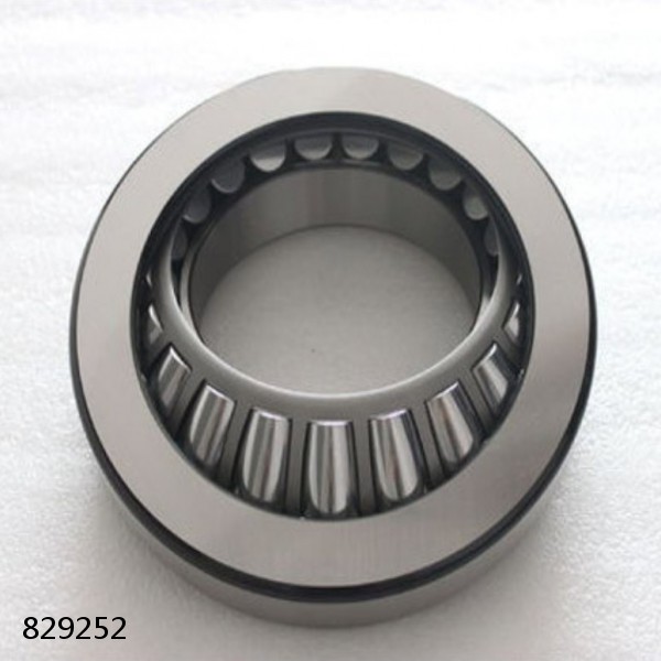 829252 DOUBLE ROW TAPERED THRUST ROLLER BEARINGS #1 small image