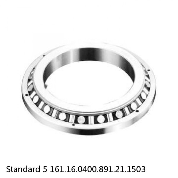 161.16.0400.891.21.1503 Standard 5 Slewing Ring Bearings #1 image