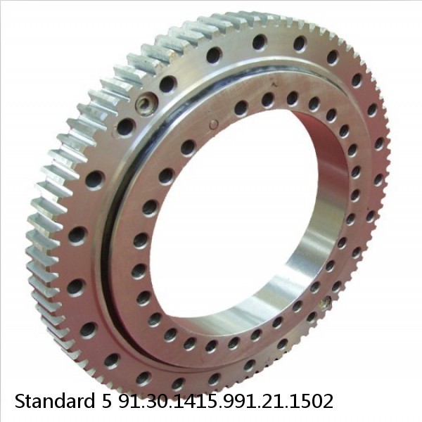 91.30.1415.991.21.1502 Standard 5 Slewing Ring Bearings #1 image