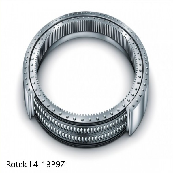 L4-13P9Z Rotek Slewing Ring Bearings #1 image