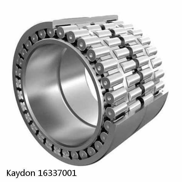 16337001 Kaydon Slewing Ring Bearings #1 image