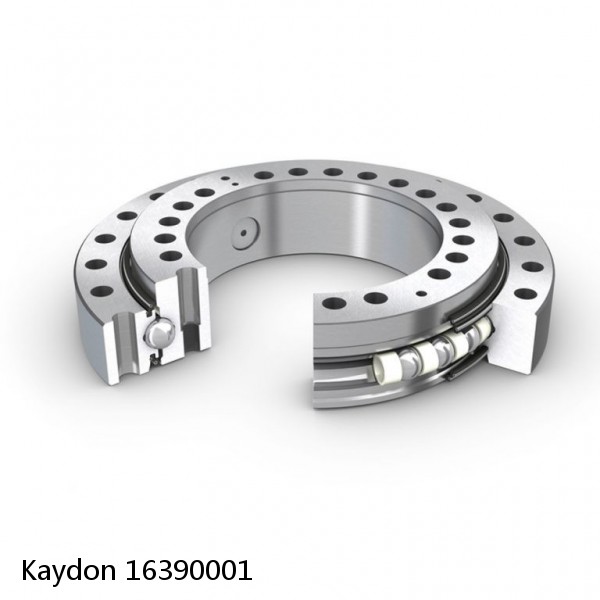 16390001 Kaydon Slewing Ring Bearings #1 image