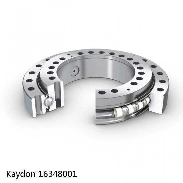 16348001 Kaydon Slewing Ring Bearings #1 image