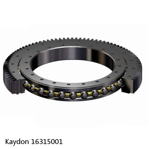 16315001 Kaydon Slewing Ring Bearings #1 image