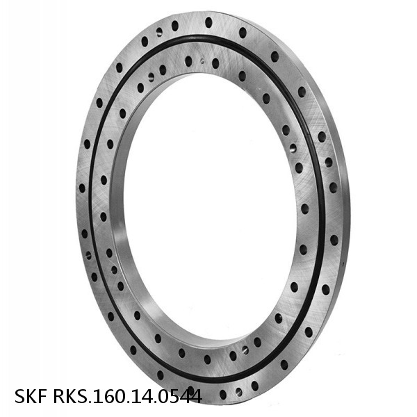 RKS.160.14.0544 SKF Slewing Ring Bearings #1 image