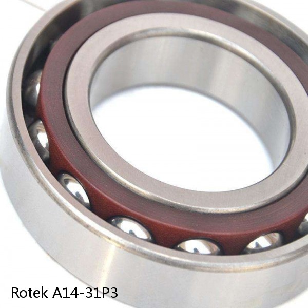A14-31P3 Rotek Slewing Ring Bearings #1 image