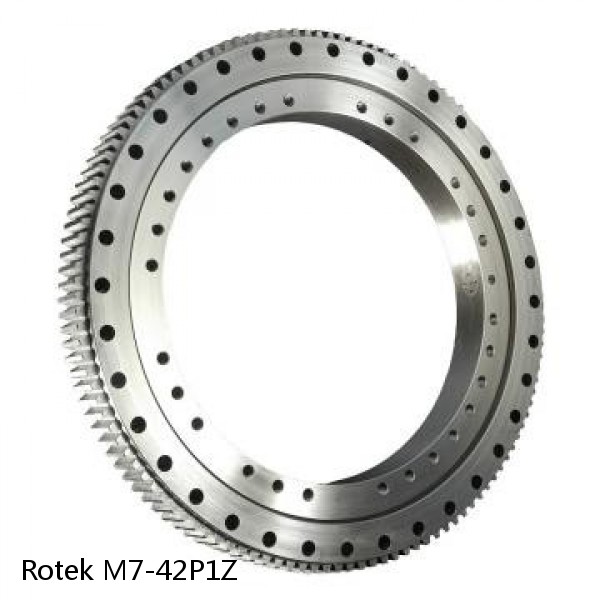 M7-42P1Z Rotek Slewing Ring Bearings #1 image