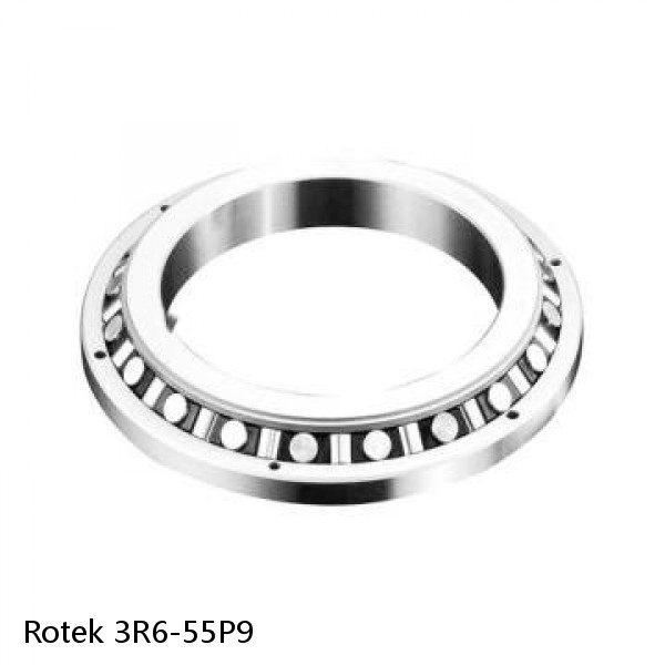 3R6-55P9 Rotek Slewing Ring Bearings #1 image