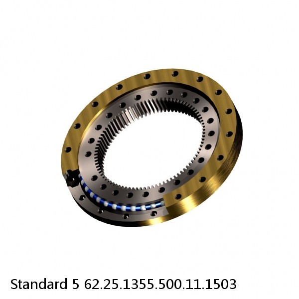 62.25.1355.500.11.1503 Standard 5 Slewing Ring Bearings #1 image